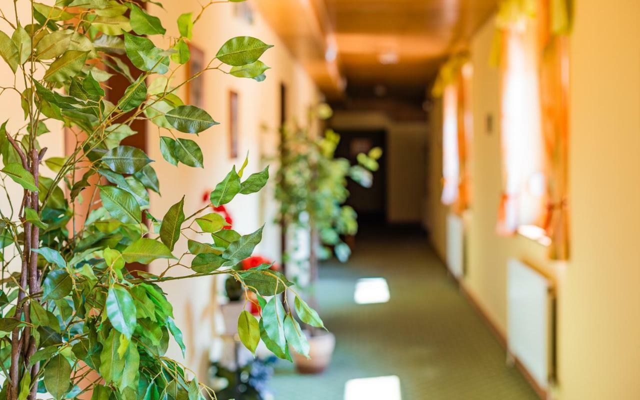 Hotel Garni Steinfeld Bécsújhely Kültér fotó