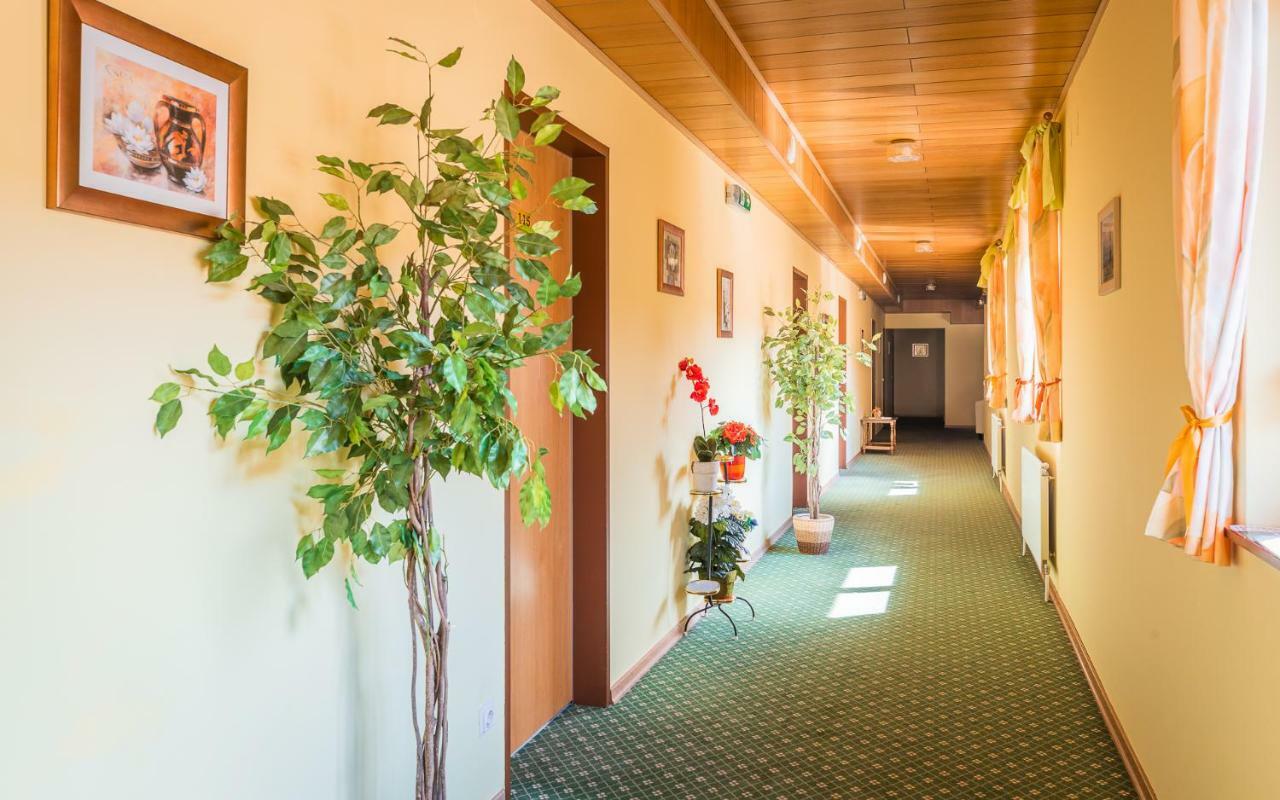 Hotel Garni Steinfeld Bécsújhely Kültér fotó